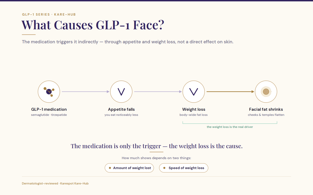 Process showing GLP-1 reducing appetite and causing weight loss which leads to facial volume shrinking