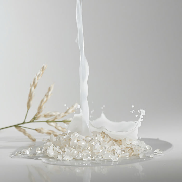 Rice Seed Water