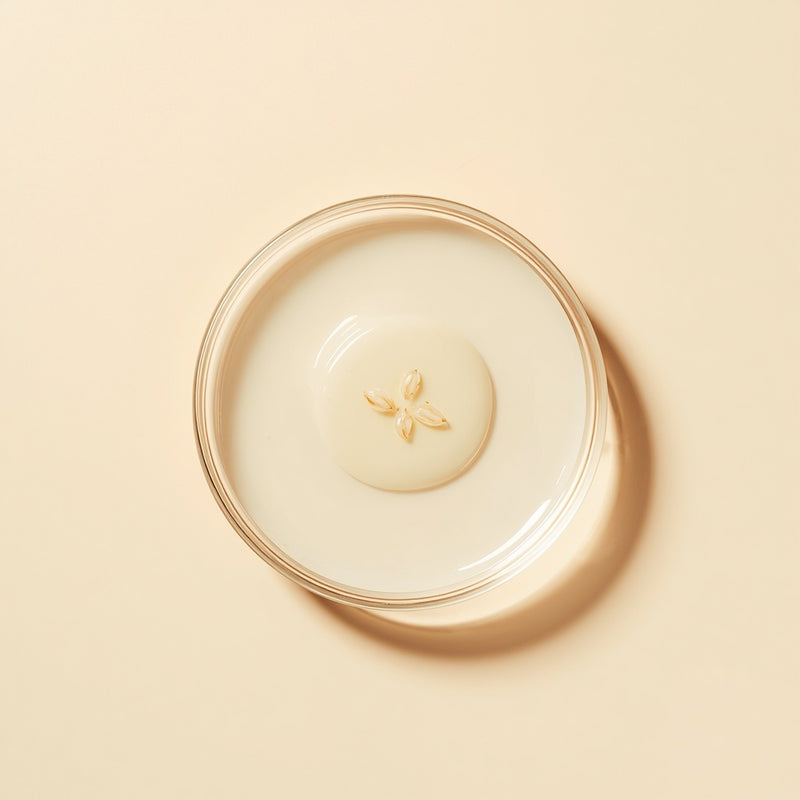 Rice Seed Water